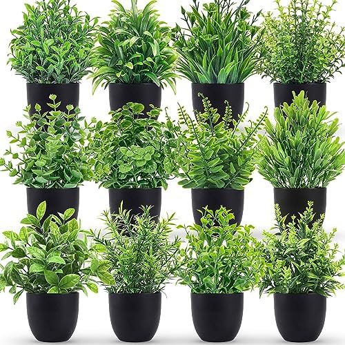 Der Rose 12 Pack Small Fake Plants in Black Pots, Bathroom Decor Indoor