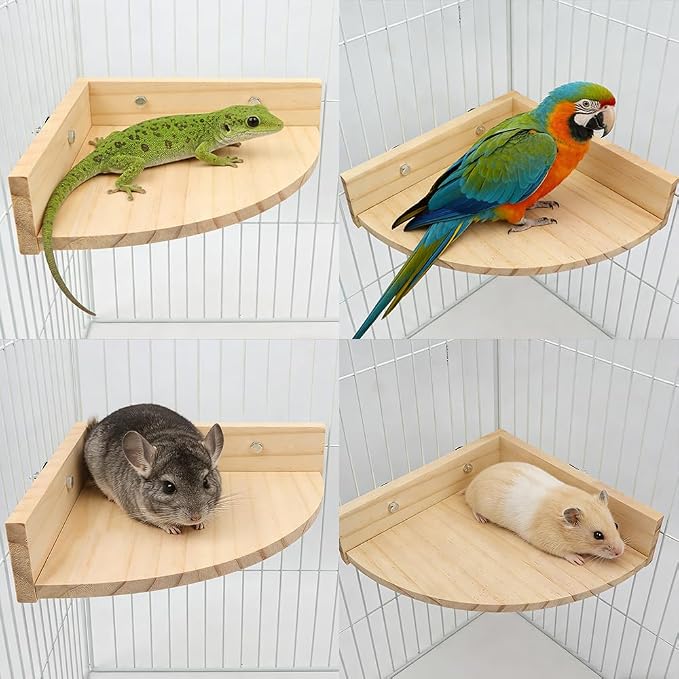 2 Pack Bird Wooden Perch Stand Platform Rack Rest Stand Toy for Bird Parrot Parakeet Conure African Greys Cockatoo Budgies Macaw Lovebird Finch Canary Hamster Gerbil Rat Mouse Cage Shelf Toy
