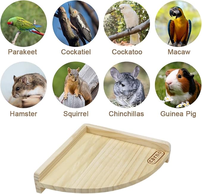 Litewoo Bird Perch Corner Platform Stand Shelf for Parrot Parakeet Cage | Natural wood, corner-mount design saves space, smooth polished safe for bird feet, for small-medium birds/budgie/cockatiel
