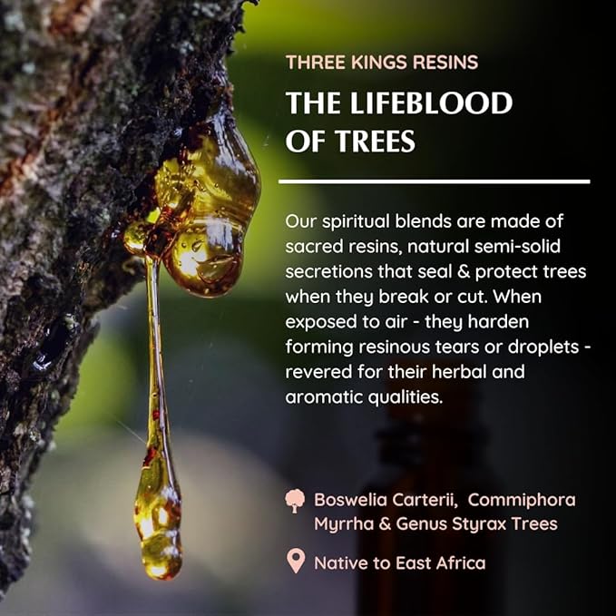 Three Kings Resin Essential Oil Diffuser Blend | 3 x 10ml / 0.33 fl oz | Ideal for Spirituality & Rituals | Made with Pure Boswellia, Serrta & Benzoin extracts | Non-Alcoholic, Non-Toxic & Vegan