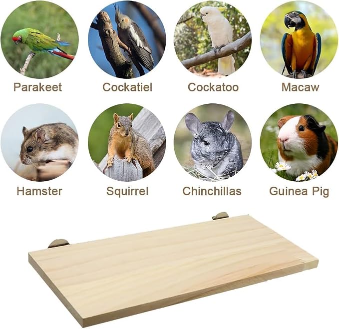Litewoo Parrot Bird Wood Perch Platform Large Stand Shelf for Budgie, 2PC | Natural wood, sturdy flat bird perch shelf, for small-medium birds/parakeet/cockatiel/conure, easy install & adjustable