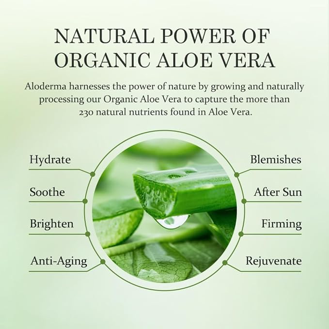 Aloderma Hydrating Face Cream for Dry Skin Made with 65% Organic Aloe Vera - Natural Hydration with Hyaluronic Acid & Arginine - Nourishing Aloe Vera Face Cream - Moisturizing Dry Skin Cream, 1.7oz