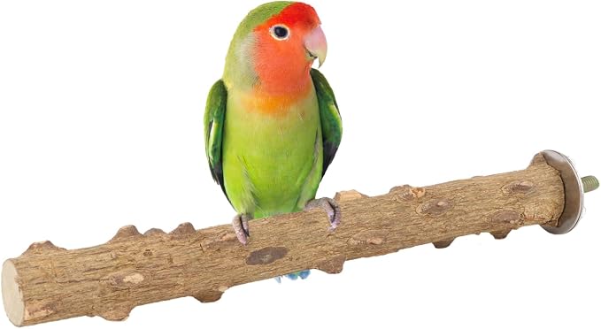 Hypeety Natural Prickly Ash Wood Perch Bird Paw Grinding Stand, 7.86''/20cm | Paw and beak grinding perch, bark texture for grip, chew-proof and durable, beak for budgie/parakeet/cockatiel/lovebird