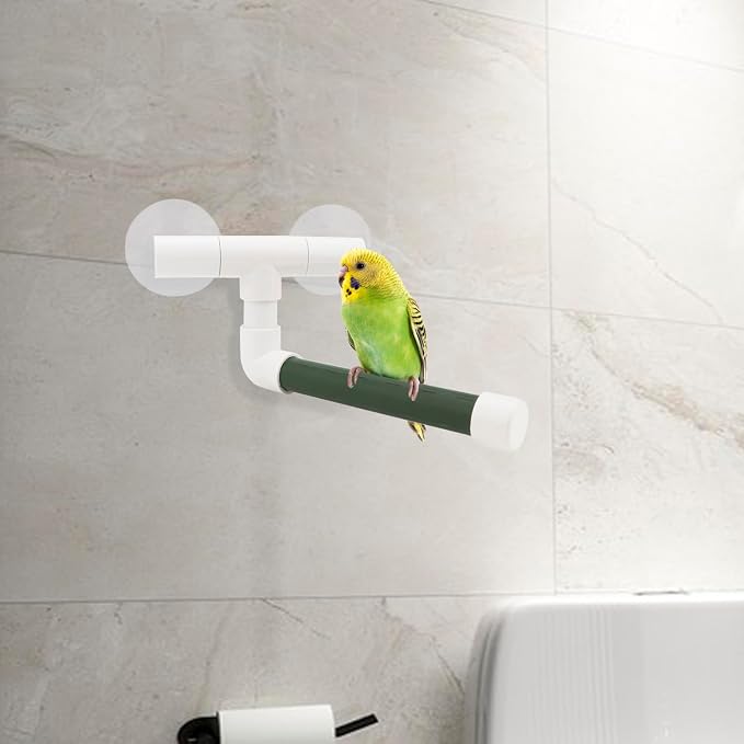 Hypeety Portable Suction Cup Bird Window and Shower Perch Toy Parrot Stand | 2 strong suction cups, parrot bath perch, easy to install, fits windows/shower tile, for budgies/parakeets/lovebirds, green