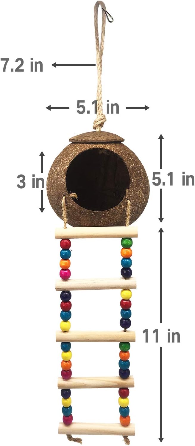 Hanging Coconut Birds House with Ladder, Natural Coconut Bird Nest | Coconut Hide Birds Swing Toys for Parrot Parakeet Lovebird Finch Canary for Hamster, Bird Cage Accessories, Pet Bird Supply