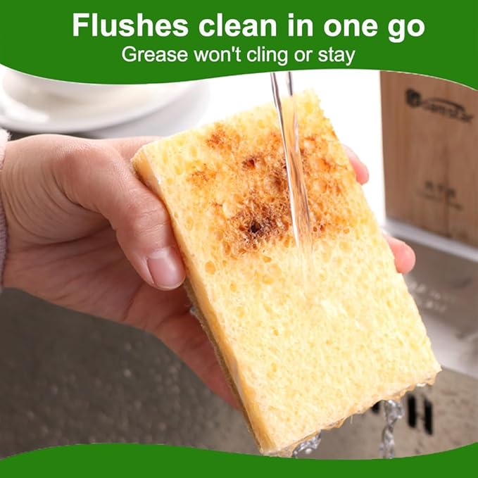 Natural Sponges for Dishes - Natural Dish Sponge, Palm Fiber Scrubbing Sponge with Non Scratch Biodegradable Sponges 12 Pack