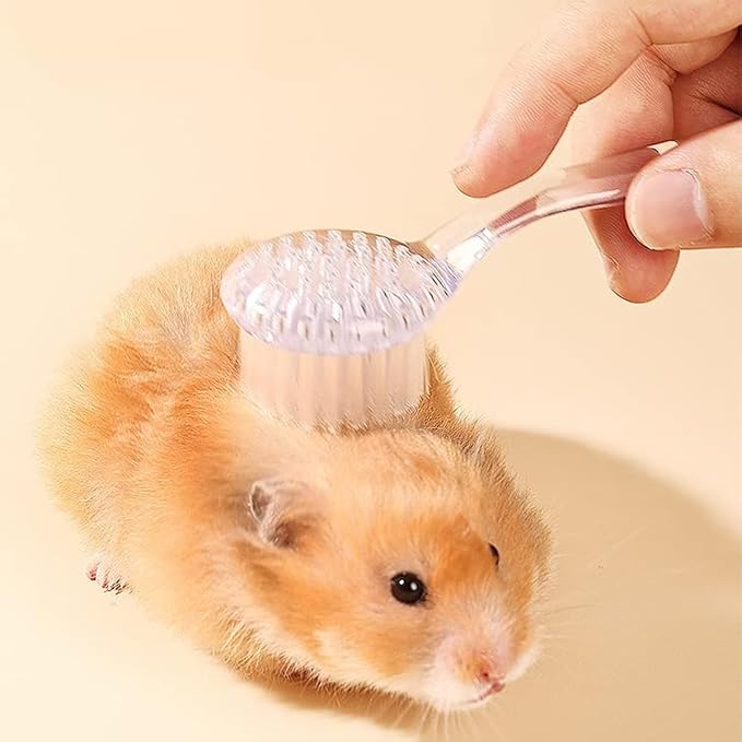 6 Pack Small Animal Brush, Soft Bath GroomingTool with Lid for Hamster, Cat | Keeps coat shiny and healthy. Removes dander and debris. Includes storage lid to keep brush clean.