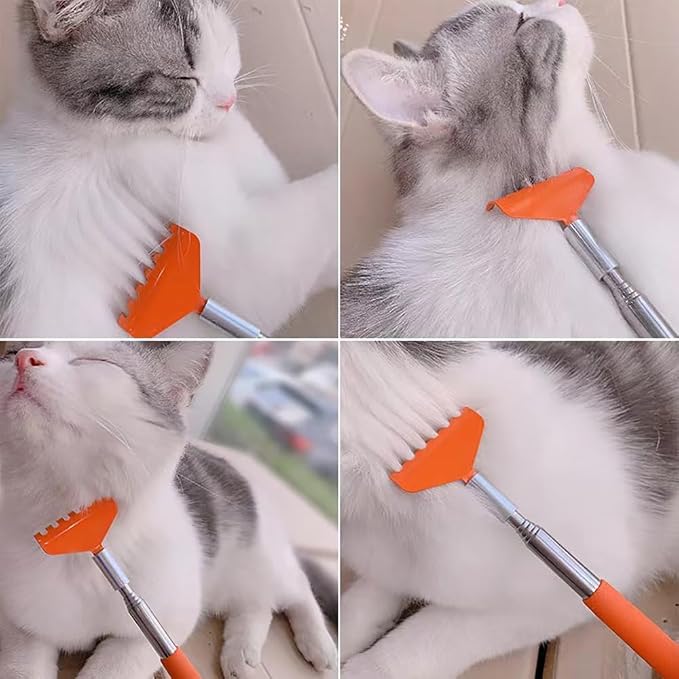 2PC Cat Comb Telescopic Teaser Wand Retractable Scratch Comb Tickle Handy Interactive Play Toy for Small Animal Rabbit Ferret Guinea Pig Dog (Mixed)