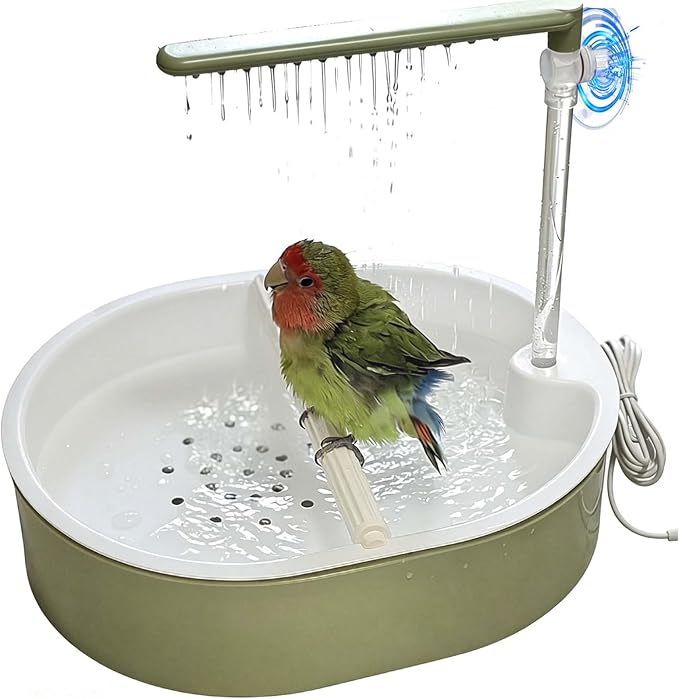 Automatic Bird Bath Shower with Pump & Water Tank | Great for parrots, cockatiels, budgies & lovebirds. Large tank & pump give running water. Freestanding, place anywhere.