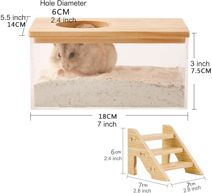 Transparent Hamster Sand Bath Box for Hamster Cage Accessories, Digging Sand Container with Climbing Ladder, Large Sandbox for Hamsters Dust Bath and Play Sand (M, Rectangle)