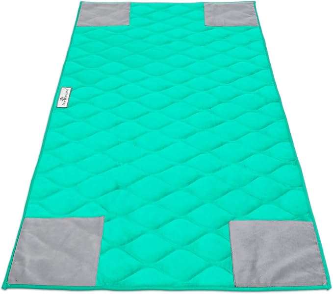 Paw Inspired PopCorner Washable Fleece Cage Liners, C&C 2x4, Green | Reinforced Corners, Super Absorbent Mat, Bedding, Waterproof Bottom, Guinea Pigs, Ferrets, Rabbits, Hamsters, Small Animals