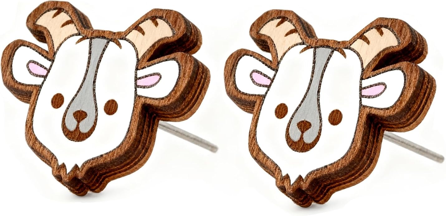 Wooden Stud Earrings for Women Hypoallergenic Jewelry Gifts for Women