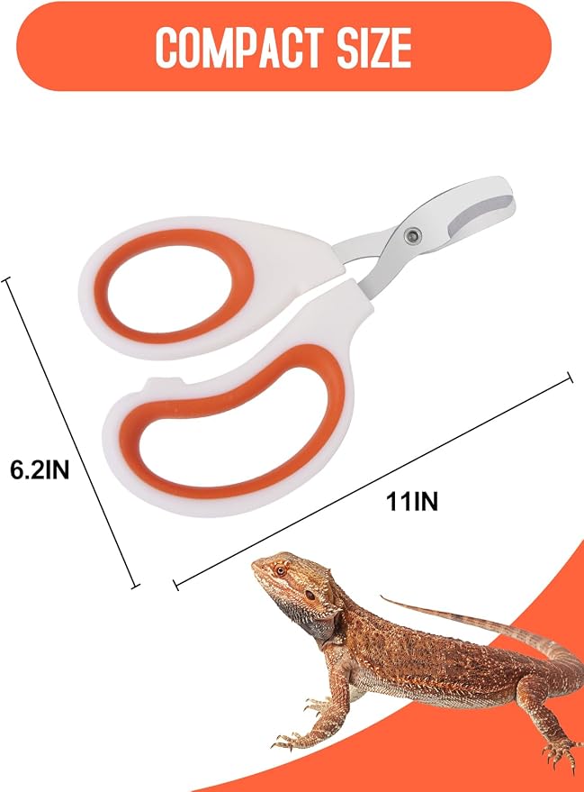 Stainless Steel Bearded Dragon Nail Clippers,Lizard Nail Clippers,Bearded Dragon Supplies,Bearded Dragon Nail Scissors for Small Reptiles,Turtle,Chameleon,Iguana，Hedgehog（Orange）