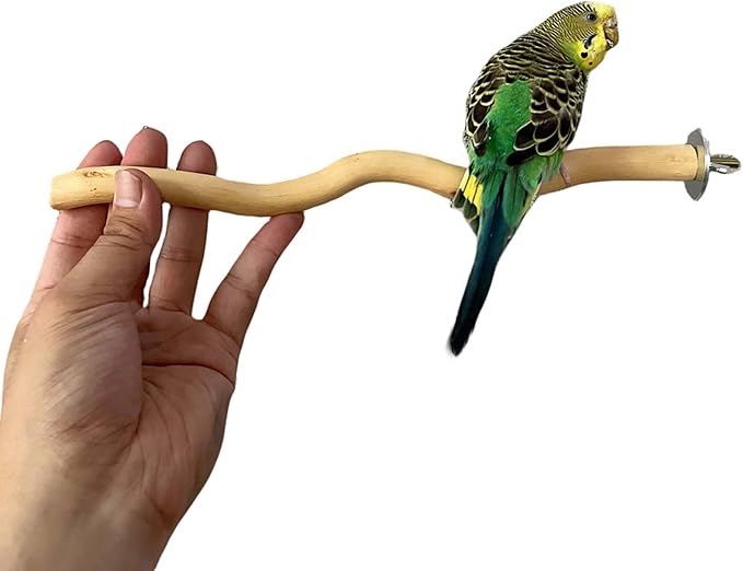 5 PCS Natural Parrot Perch Bird Stand Wooden Parrot Perch Stand Parakeet Climbing Standing Branches Toy for Small Lovebirds Budgies Cockatiels