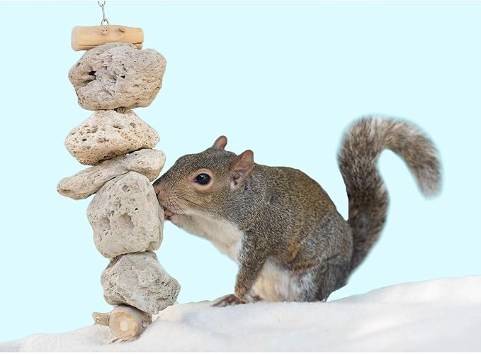 Exotic Nutrition Pumice Chew Dangle - Natural Healthy Hanging Cage Accessory Toy - for Squirrels, Degus, Chinchillas, Prairie Dogs, Birds, Rats, Hamsters, Guinea Pigs & Other Small Pets (Dark Gray)