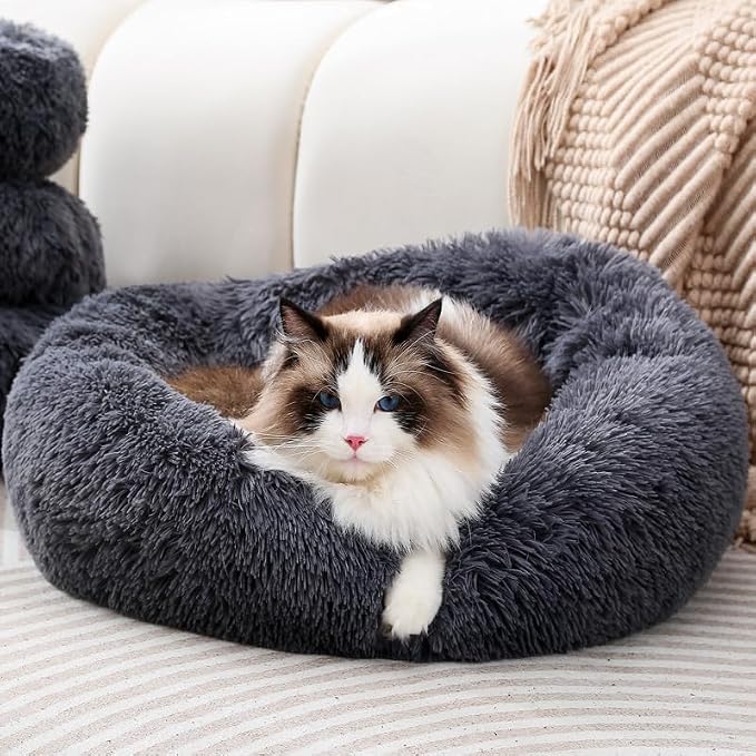 Donut Small Dog Bed, Calming Cat Beds for Indoor Cats, Deep Grey, 13x13x4in | Machine Washable Cat Bed for Kittens & Puppies, Anti-Slip & Water-Resistant Bottom, camas para gatos within 7lbs Pets