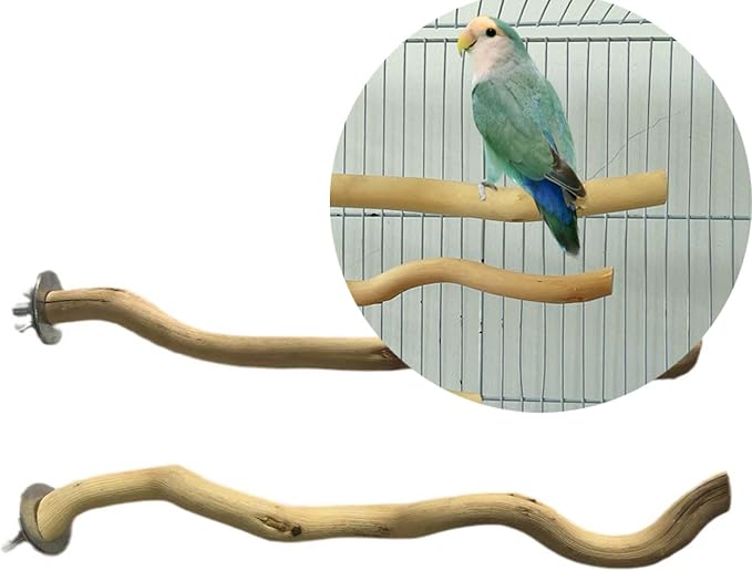 5 PCS Natural Parrot Perch Bird Stand Wooden Parrot Perch Stand Parakeet Climbing Standing Branches Toy for Small Lovebirds Budgies Cockatiels