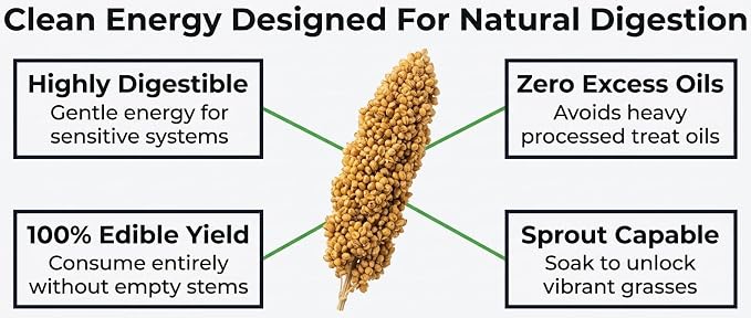 Birds LOVE® 1lb Millet Tips & Tails for Birds – Premium Spray Millet Treat, USA Grown – Natural & Healthy Bird Food for Parakeets, Cockatiels, Budgies, Lovebirds, Finches, Canaries & Parrots – 2 Pack
