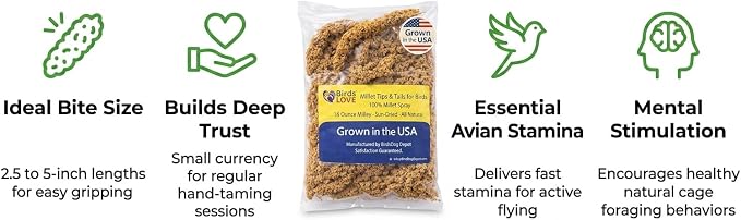Birds LOVE® 1lb Millet Tips & Tails for Birds – Premium Spray Millet Treat, USA Grown – Natural & Healthy Bird Food for Parakeets, Cockatiels, Budgies, Lovebirds, Finches, Canaries & Parrots – 2 Pack