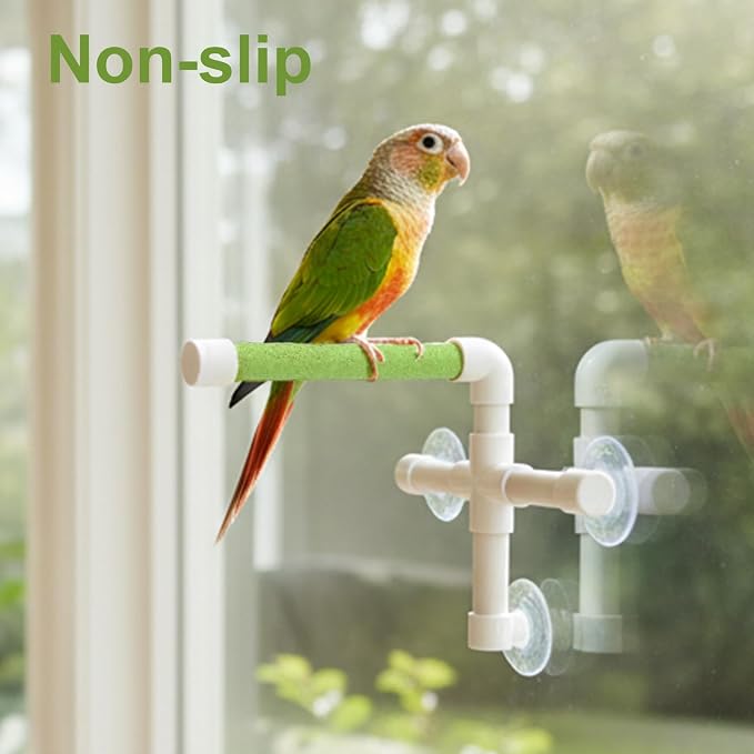 Hypeety Portable Suction Cup Bird Window and Shower Perch Toy Parrot Stand | 3 strong suction cups, parrot bath perch with quartz sand surface, fits windows/tile, for parakeets/budgies/cockatiels, green