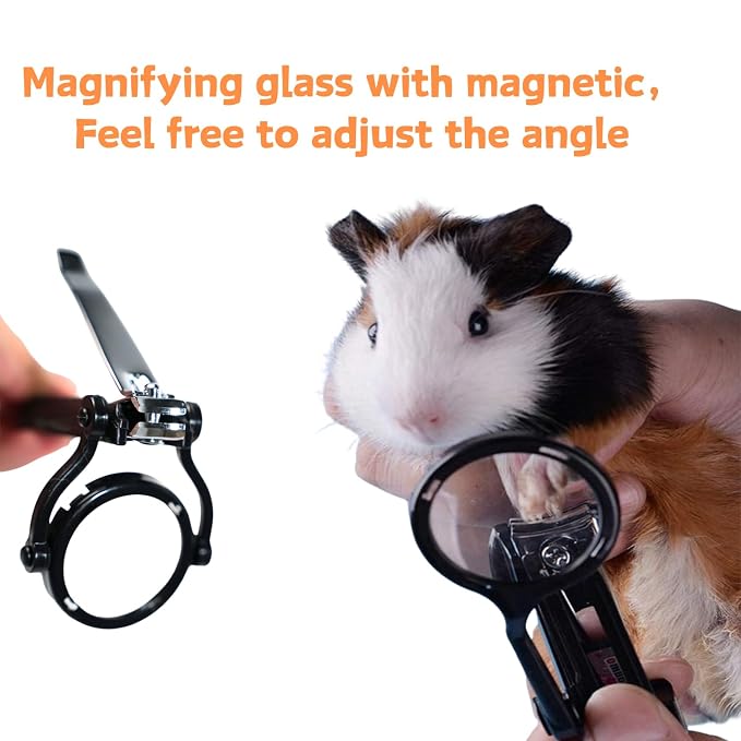 Guinea Pig Grooming Kit - Nail Clippers with Magnifying Glass & 2-Piece Fine-Tooth Comb Set for Small Animals, Rabbit, Hamster, Hedgehog, Ferret, Chinchilla, Sugar Glider (white)