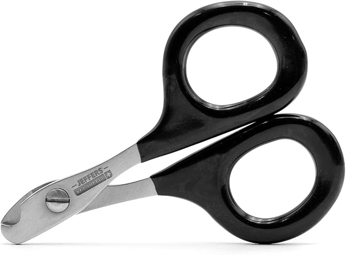 Jeffers Stainless Steel Cat Claw Clippers Scissors - Small Pet Nail Trimmer with Sharp Precision Blades, PVC Non Slip Ergonomic Handle, Compact Home Grooming Cutter for Cats, Kittens, Birds