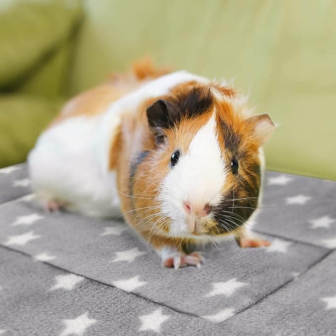 10PCS Rabbit Bed, Soft Bunny Bedding, Fleece Guinea Pig Blanket | Warm Plush Sleeping Mat, Cage Liner for Hamster Ferret Squirrel Hedgehog Rat