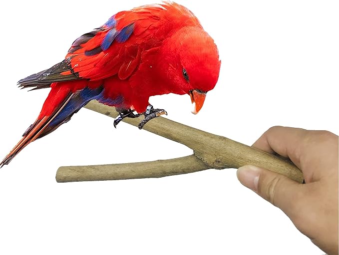 10 PCS Natural Wood Bird Perch Stand, Bird Parrot Perch Stand Set, Wooden Parrot Perch Stand Perch Platform Cage Accessories for Parrotlets Cockatiels Budgies Parakeets