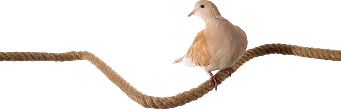 Bird Rope Perch for Parrots, Bendable Natural Jute Boing with Pine Wood and Stainless Steel Mount, Cotton Alternative, Cage Accessory for Parrots (Brown, 4 feet)