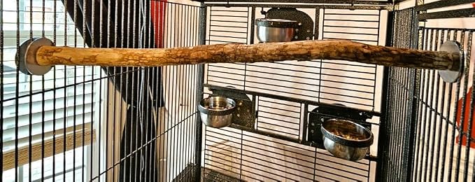 Polly's Full Length Hardwood Cage Perch for Parakeets, Cockatiels, Cockatoos, Macaws, and Other Birds (20")