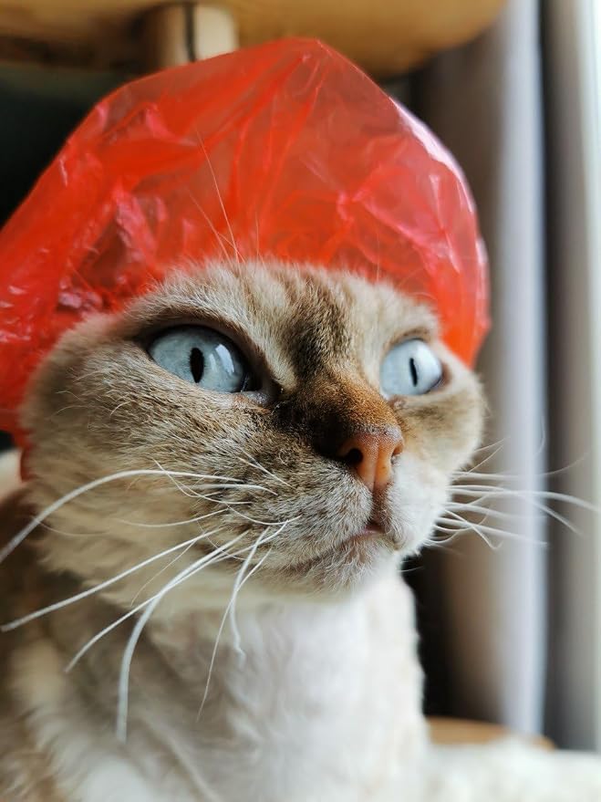 Shower Caps for Sphynx Cats & Small Pets, Red 20-Pack Poly Bag - Waterproof Bath Protection with Elastic Band, Keeps Ears Dry During Grooming