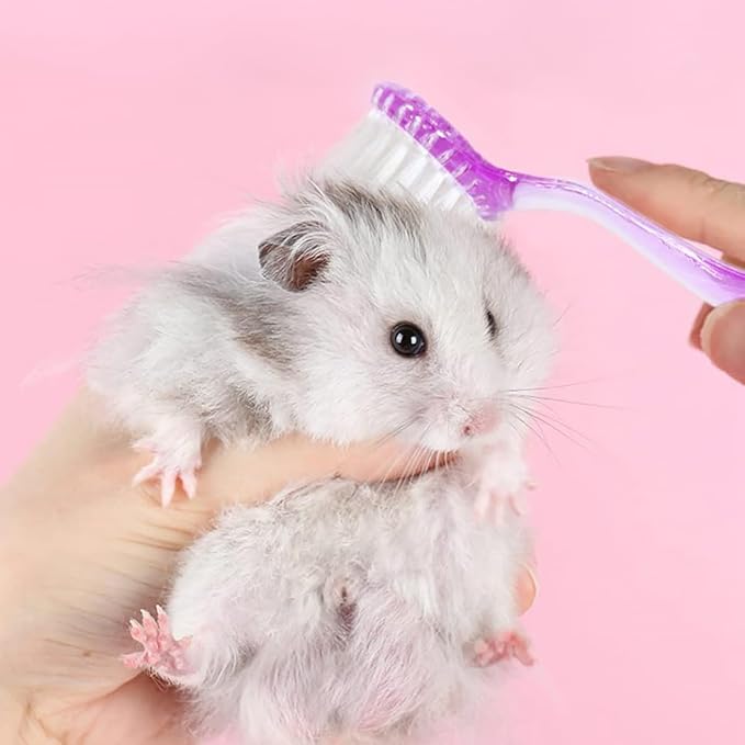 6 Pack Small Animal Brush, Soft Bath GroomingTool with Lid for Hamster, Cat | Keeps coat shiny and healthy. Removes dander and debris. Includes storage lid to keep brush clean.