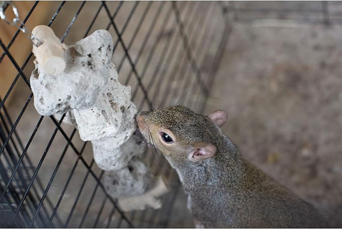 Exotic Nutrition Pumice Chew Dangle - Natural Healthy Hanging Cage Accessory Toy - for Squirrels, Degus, Chinchillas, Prairie Dogs, Birds, Rats, Hamsters, Guinea Pigs & Other Small Pets (Dark Gray)