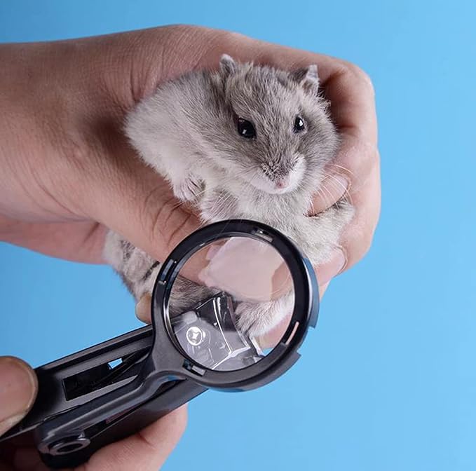 Guinea Pig Nail Clippers with Magnifying Glass Stainless Steel Claw Toenail Trimmer for Small Animal Hedgehog Rabbit Hamster Ferret Hamsters Chinchilla Sugar Glider Pet Grooming Supplies (Black)