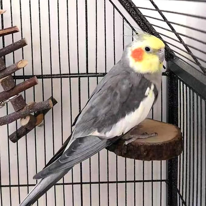 3PCS 2.5-3.7In Natural Bird Perches for Cage Wooden Parakeet Stand Platform | Small Bird Cage Accessories, Bird Toys for Budgie Lovebird Cockatiel Canary Finch Dwarf Hamster Gerbils