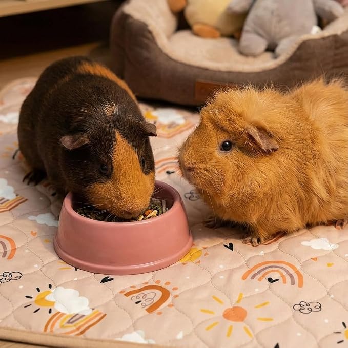 Guinea Pig Cage Liner, 59"x31" Bedding for C&C 2x4 Cage 2 Pack, Rainbow | Washable Fleece Bedding, Super Absorbent, Non-Slip, Waterproof Rabbit Mat, Machine Washable, Small Animal Cage Accessory
