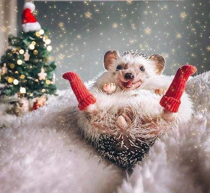 3 Pairs Handmade Tiny Socks for Hedgehog Hamster Small Animal Stretchy Socks Nail Care Hedgehog Clothes Apparel Accessories for Photo Prop Christmas Party Birthday Pet Shows Cosplay (3 Pairs)