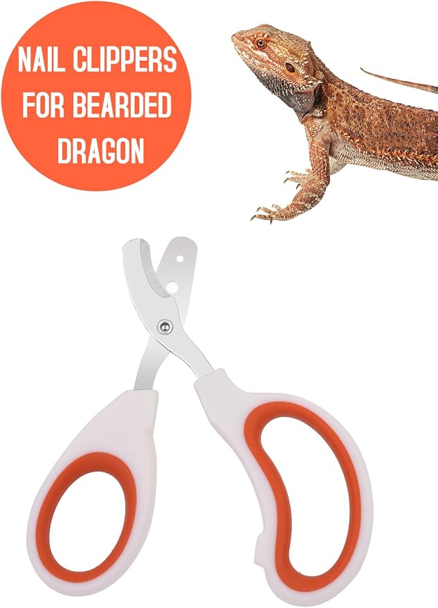 Stainless Steel Bearded Dragon Nail Clippers,Lizard Nail Clippers,Bearded Dragon Supplies,Bearded Dragon Nail Scissors for Small Reptiles,Turtle,Chameleon,Iguana，Hedgehog（Orange）