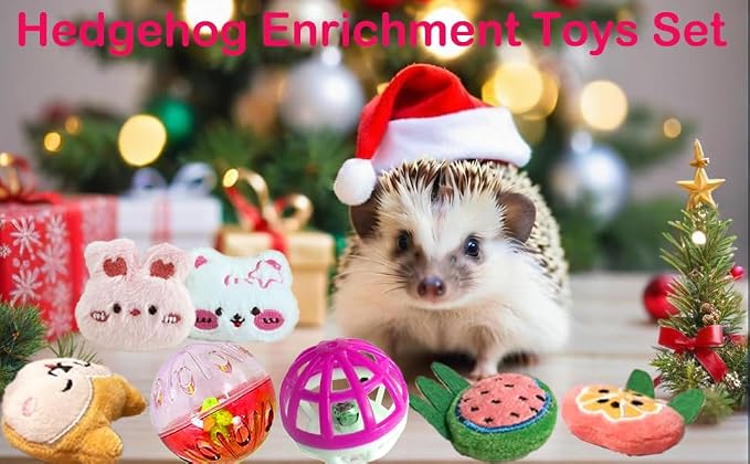 10 Pcs Hedgehog Pet Toys Small Animal Accessories for Hedgehogs Enrichment Toys Cage Ball Bell Toy Hedgehog Supplies Exercies Interactive Plush Toy