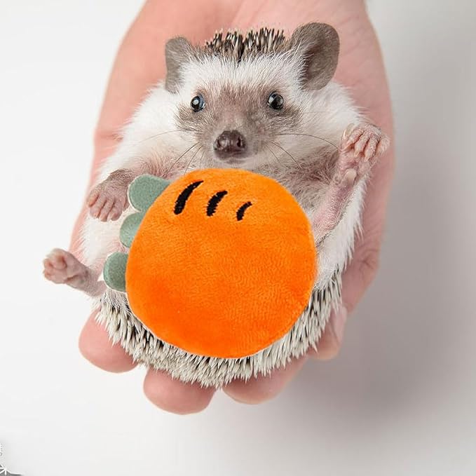 10 pcs Cute Hedgehog Enrichment Toys Hedgehog Supplies Cage Accessories Small Animal Toys Ball Bell Pet Interactive Toy Stuffed Toys Exercise Ball for Hamster Lizard Turtle Tortoise Rats
