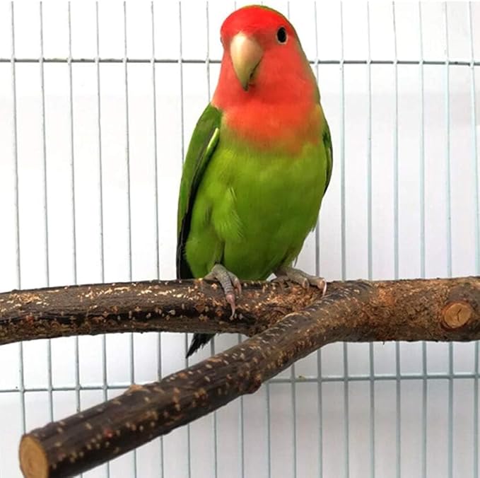 4 Pack Natural Wood Bird Perch Set for Parakeet Cage | Textured branches & platform tailored to small/medium birds; untreated timber aiding safe beak care; tool-free mount