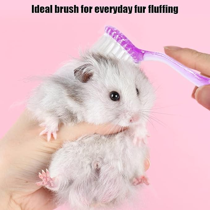 2PC Nail Cleaner Brush Pet Hair Comb Hamster Hair Grooming Cleaning Brushes Pet Animal Bathing Brushes for Guinea Pig Chinchilla Ferret Cleaning Tool (Purple)