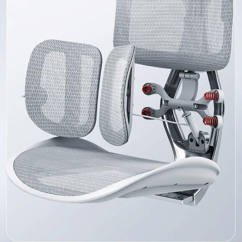 VIDI Ergonomic Chair Net, Executive Home Office, with Waist Support, Backrest