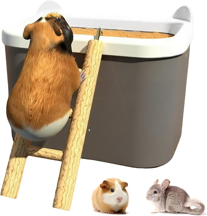 Hamster Sand Box Large Removable Enrichment | Dwarf Hamster Dig Box Bathing Bowl for Mouse Gerbil Chinchilla Home Travel Enrichment Bathing Play