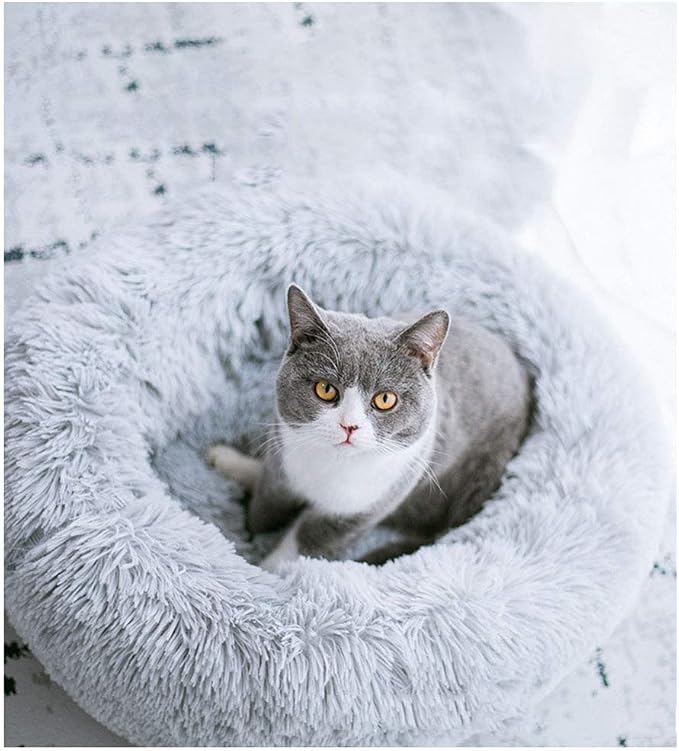 Cat Bed for Indoor Cats,Mini Plush Self Warming Kitten Bed, 20 Inch | Soft Round Fluffy Dog Bed and Cat Nest for Kittens and Small Dogs, Cozy Medium Bed for Indoor and Warm Autumn or Winter Sleep