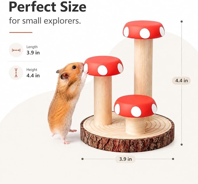 Hamster Climbing Toy Wooden for Chew, Enrichment Cage Accessory | Encourages climbing, exploring, and daily exercise for hamsters, gerbils, mice, rats, chinchillas, and guinea pigs