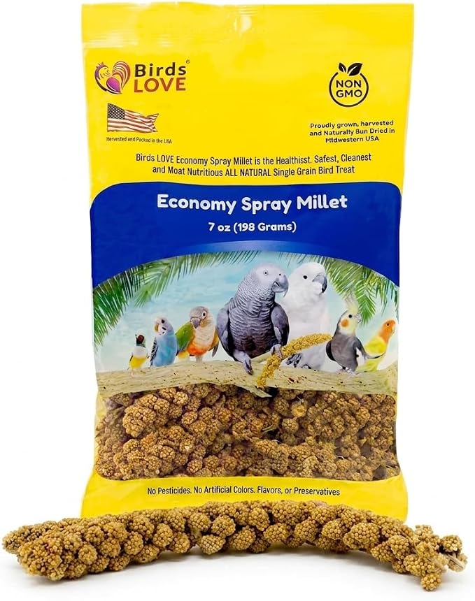 Birds LOVE Economy Spray Millet for Birds, 7 oz, GMO-Free Natural Millet Spray Treat, Stem-Reduced Edible Tops, Grown in USA, for Parakeets, Cockatiels, Lovebirds, Finches, Canaries & Small Parrots