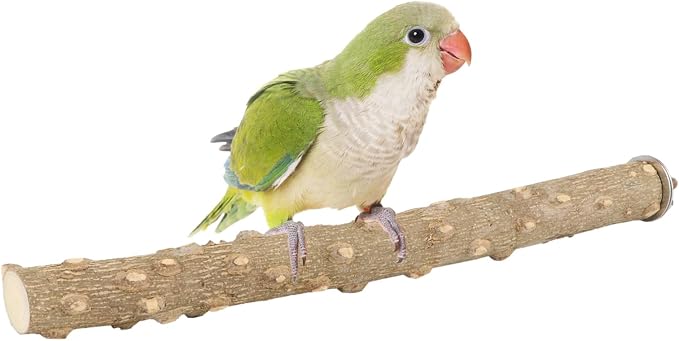 Hypeety Natural Prickly Ash Wood Perch Bird Paw Grinding Stand, 11.7''/30cm | Paw and beak grinding perch, bark texture for grip, chew-proof and durable, beak for budgie/parakeet/cockatiel/lovebird