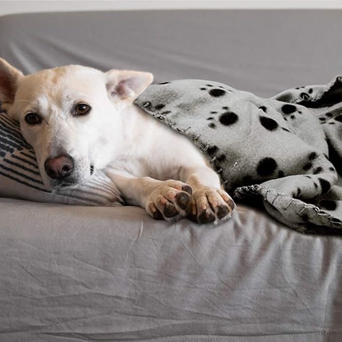Comsmart Pet Blanket Dog Cat Soft Fleece Blankets Sleep Mat Pad Bed Cover with Paw Print for Kitten Puppy and Other Small Animals, 6 Pack of 39x31 Inches