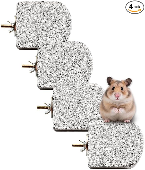 4PCS Lava Ledge for Small Pets, Chinchilla, Hamster, Parrot, Gray(M) | Grinding Claws & Jumping, Safe Natural Volcanic Rock, Reduces Random Chewing